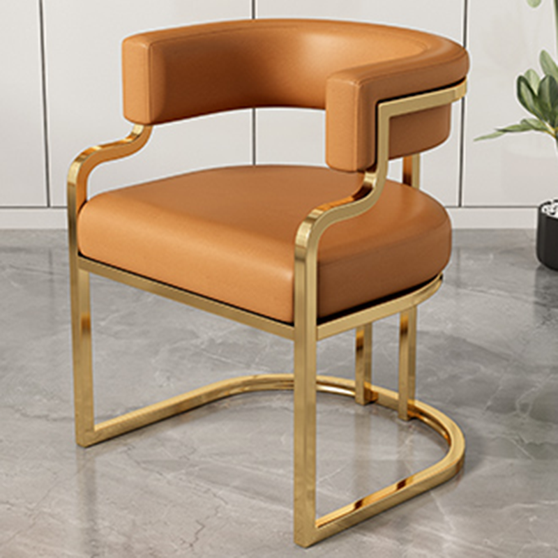 Modern Minimalist Curved Cat Claw Leather Steel Dining Chair Backrest Armless For Dining Room