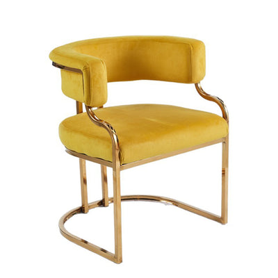 Modern Minimalist Curved Cat Claw Leather Steel Dining Chair Backrest Armless For Dining Room