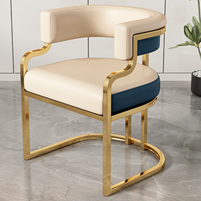 Modern Minimalist Curved Cat Claw Leather Steel Dining Chair Backrest Armless For Dining Room