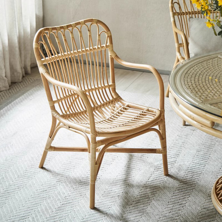 Chaise de salle à manger moderne minimaliste en rotin véritable avec dossier courbé et accoudoirs pour salon 