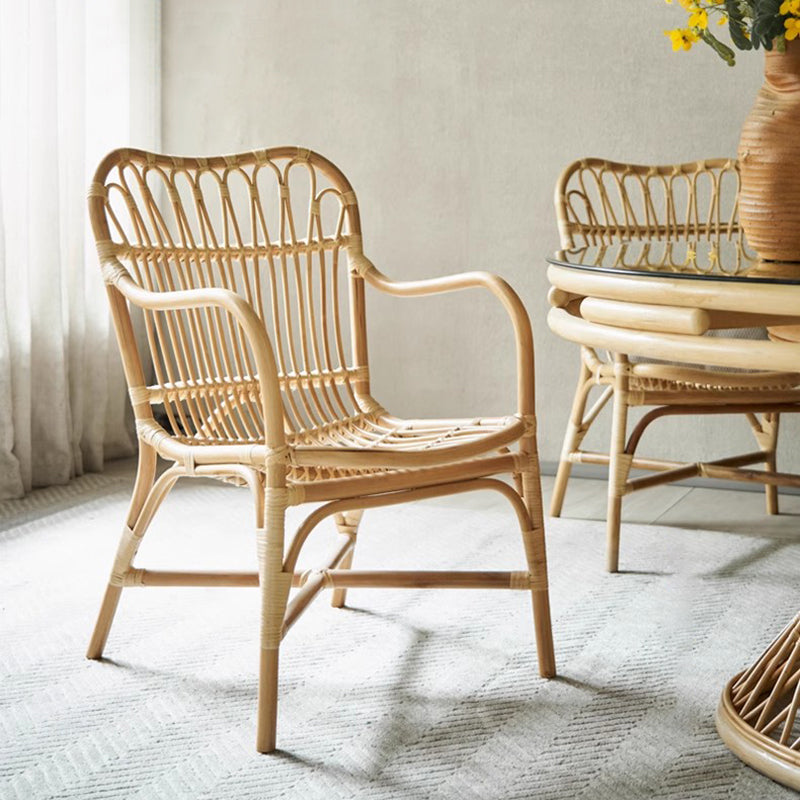 Chaise de salle à manger moderne minimaliste en rotin véritable avec dossier courbé et accoudoirs pour salon 