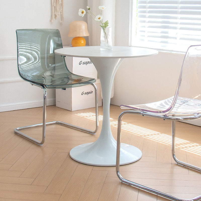Modern Minimalist Curved Plastic Steel Dining Chair Backrest For Dining Room
