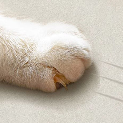 Modern Minimalist Square Rectangular Rubberwood Solid Wood Plywood Cat Scratch Leather Sintered Stone Rebar Frame Accent Chair & Table Set For Living Room