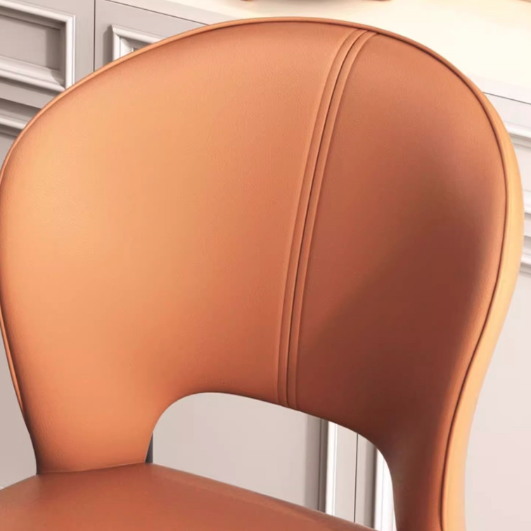 Modern Luxury Square Rectangular Cat Scratch Leather Steel Pipe Dining Chair Backrest Armless For Dining Room & Kitchen