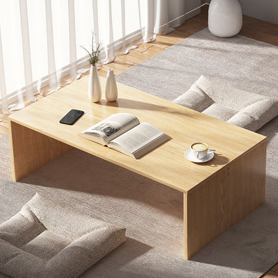 Modern Minimalist Rectangle MDF Low Coffee Table 2-Tier For Living Room