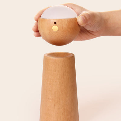 Modern Minimalist Spherical Cone Table Solid Wood Plastics LED Table Lamp For Bedroom
