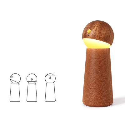 Modern Minimalist Spherical Cone Table Solid Wood Plastics LED Table Lamp For Bedroom