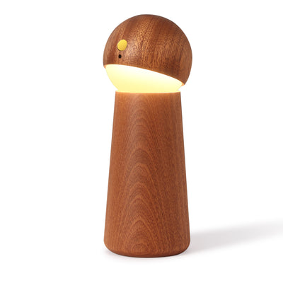 Modern Minimalist Spherical Cone Table Solid Wood Plastics LED Table Lamp For Bedroom