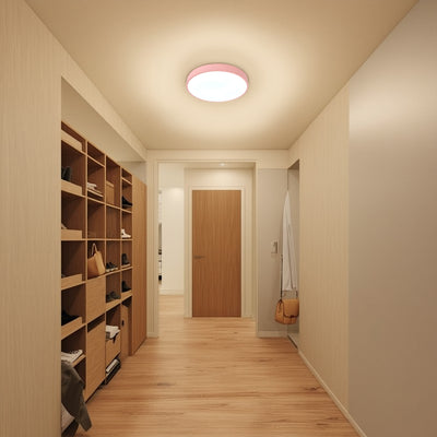 Luz de techo LED montada al ras de acrílico redondo de hierro de simplicidad moderna para sala de estar 