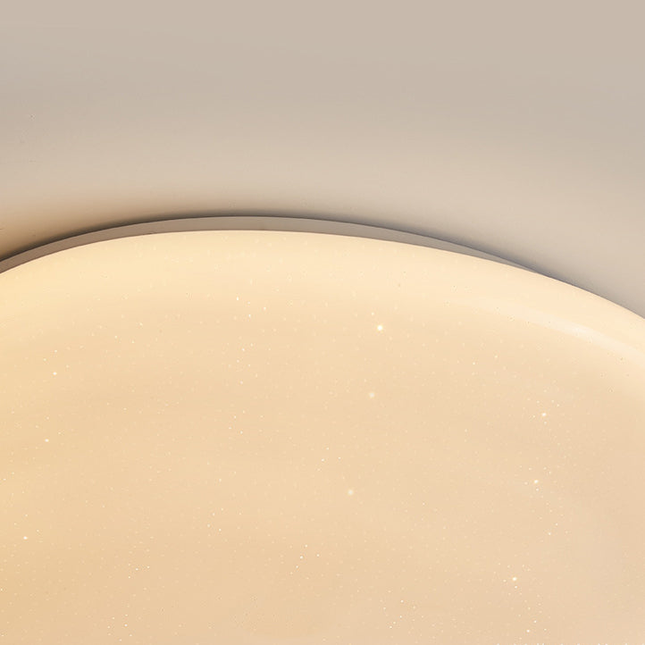 Modern Minimalist Pebble Iron Acrylic LED Flush Mount Ceiling Light For Bedroom