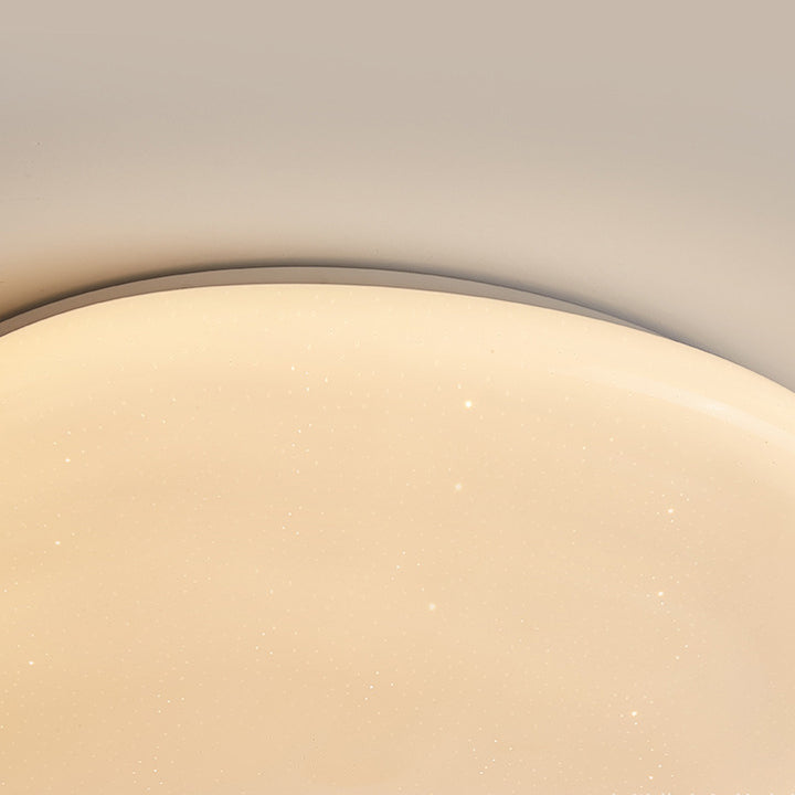 Modern Minimalist Pebble Iron Acrylic LED Flush Mount Ceiling Light For Bedroom