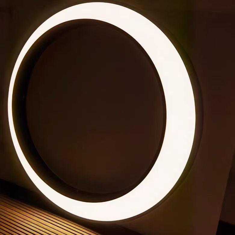 Modern Minimalist Stainless Steel & PC Round Moon LED Wall Sconce Lamp Outdoor Patio