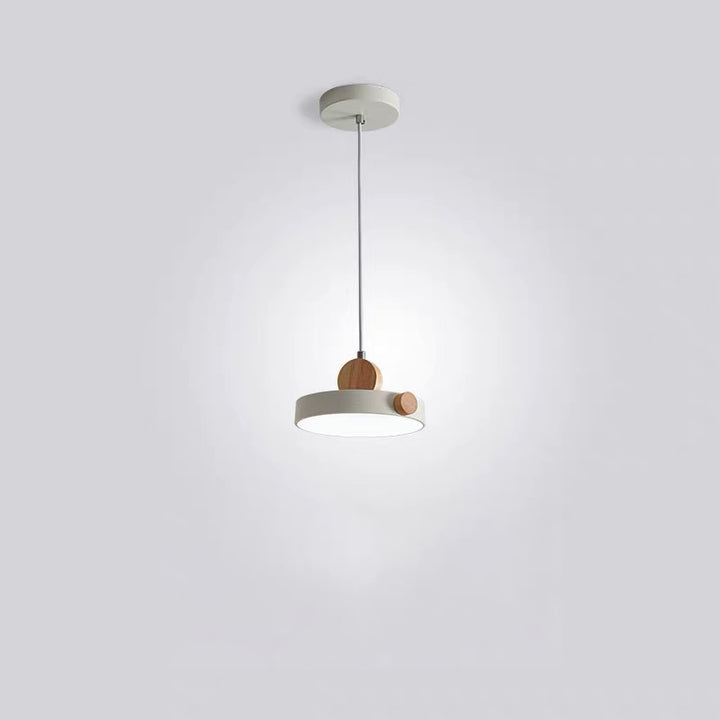 Modern Minimalist Iron Acrylic Round Plate LED Pendant Light For Living Room