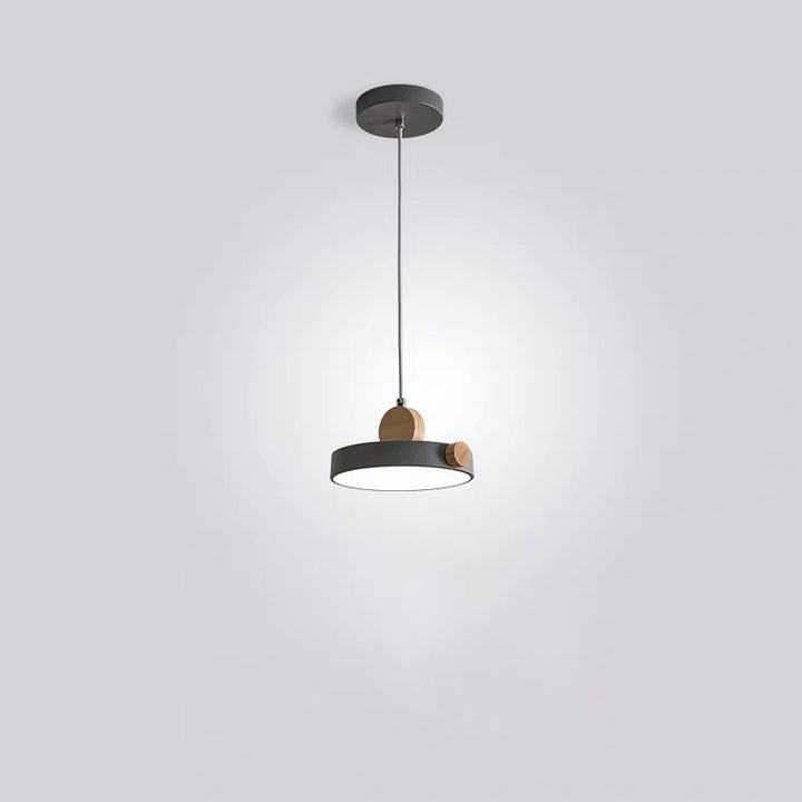 Modern Minimalist Iron Acrylic Round Plate LED Pendant Light For Living Room
