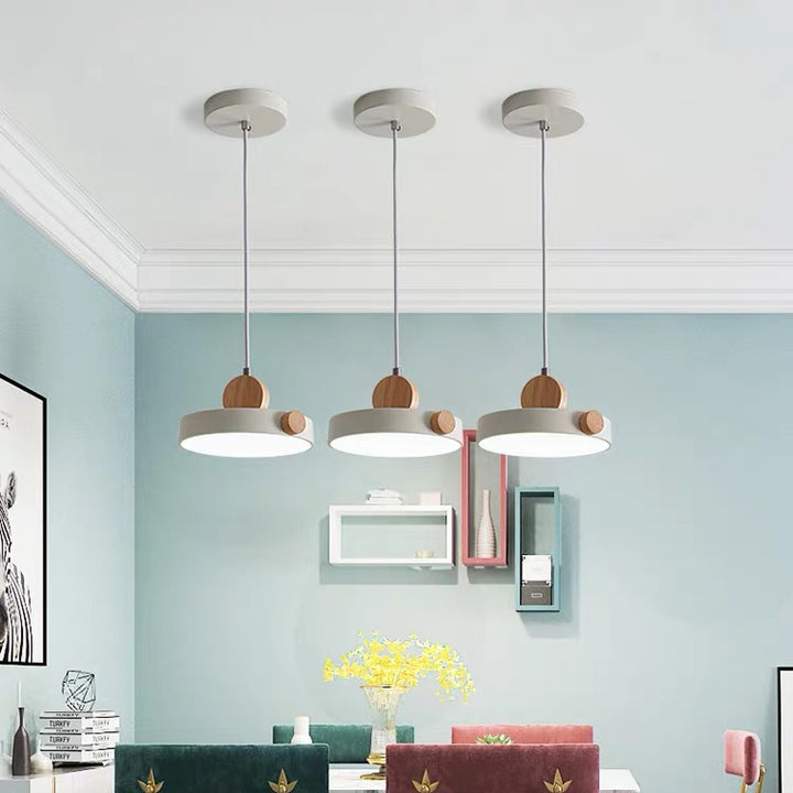 Modern Minimalist Iron Acrylic Round Plate LED Pendant Light For Living Room