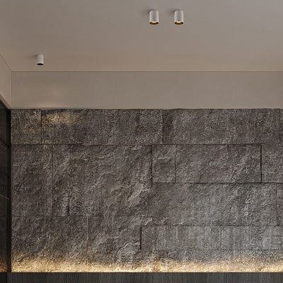 Modern White Aluminum Round LED Surface Mount Downlight - Cylinder Ceiling Spotlight For Living Room