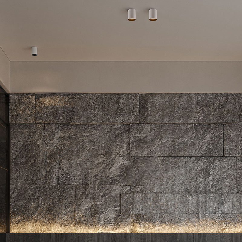 Modern White Aluminum Round LED Surface Mount Downlight - Cylinder Ceiling Spotlight For Living Room