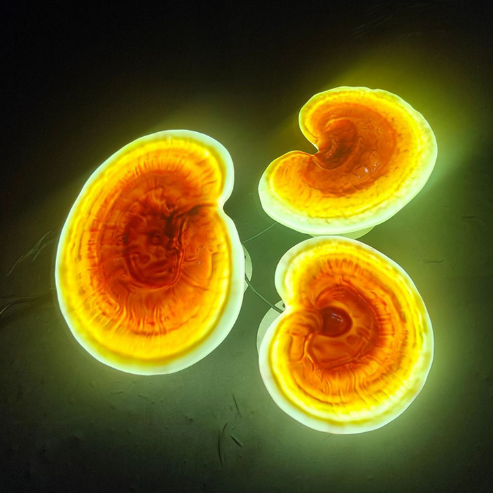 Modern Art Deco ABS Reishi Mushroom-Shaped LED Waterproof Outdoor Landscape Light For Garden
