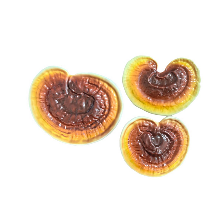 Modern Art Deco ABS Reishi Mushroom-Shaped LED Waterproof Outdoor Landscape Light For Garden