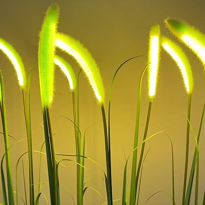 Lumière solaire LED extérieure en plastique Art déco moderne et en acier inoxydable Foxtail Reed pour jardin, patio et pelouse 