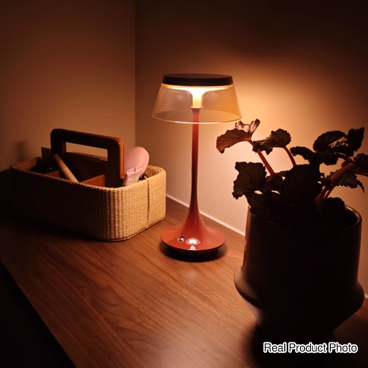 USB Rechargeable Cordless Touch Control &amp; Infinitely Dimmable Table Lamp - Nordic LED Acrylic &amp; Aluminum Alloy Bedside Ambient Light For Bedroom