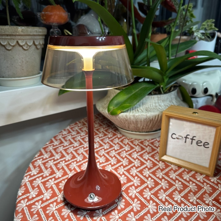 USB Rechargeable Cordless Touch Control &amp; Infinitely Dimmable Table Lamp - Nordic LED Acrylic &amp; Aluminum Alloy Bedside Ambient Light For Bedroom
