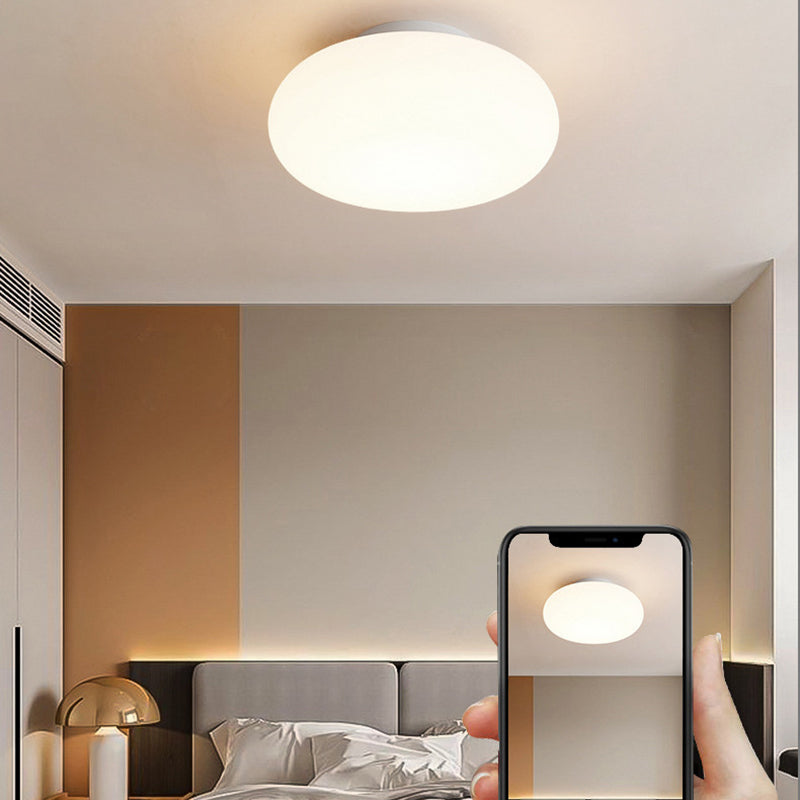 Moderna Minimalista Lámpara de Techo LED Montaje Semi-empotrado en Forma de Manzana de Hierro y PE para Dormitorio y Sala de Estar 