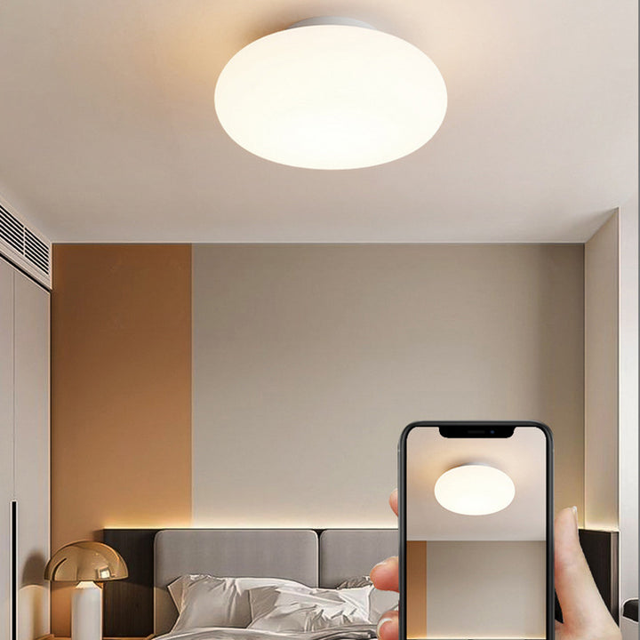 Moderna Minimalista Lámpara de Techo LED Montaje Semi-empotrado en Forma de Manzana de Hierro y PE para Dormitorio y Sala de Estar 