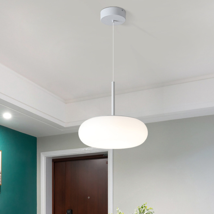 Suspension LED ronde en forme de pomme en fer et PE minimaliste moderne pour chambre et salon 