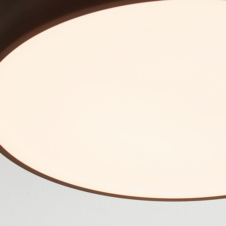 Traditionelle chinesische Acryl Eisen kugelförmige runde LED-Deckenleuchte für das Schlafzimmer 