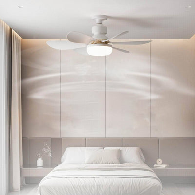 Moderner minimalistischer PP PC ABS halbrunder 1-Licht-Semi-Flush-Mount-Deckenventilator-Licht für Schlafzimmer & Wohnzimmer 