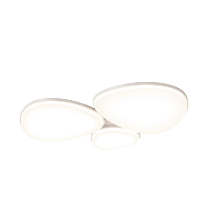 Modern Minimalist Acrylic Iron Semi-Round Floral Geometric LED Flush Mount Ceiling Light For Bedroom &amp; Living Room