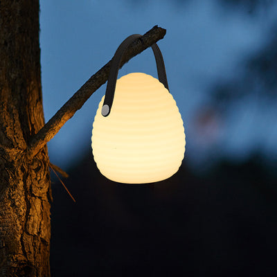 Lumière extérieure LED ronde portable en ABS PE créative contemporaine avec poignée pour patio extérieur 