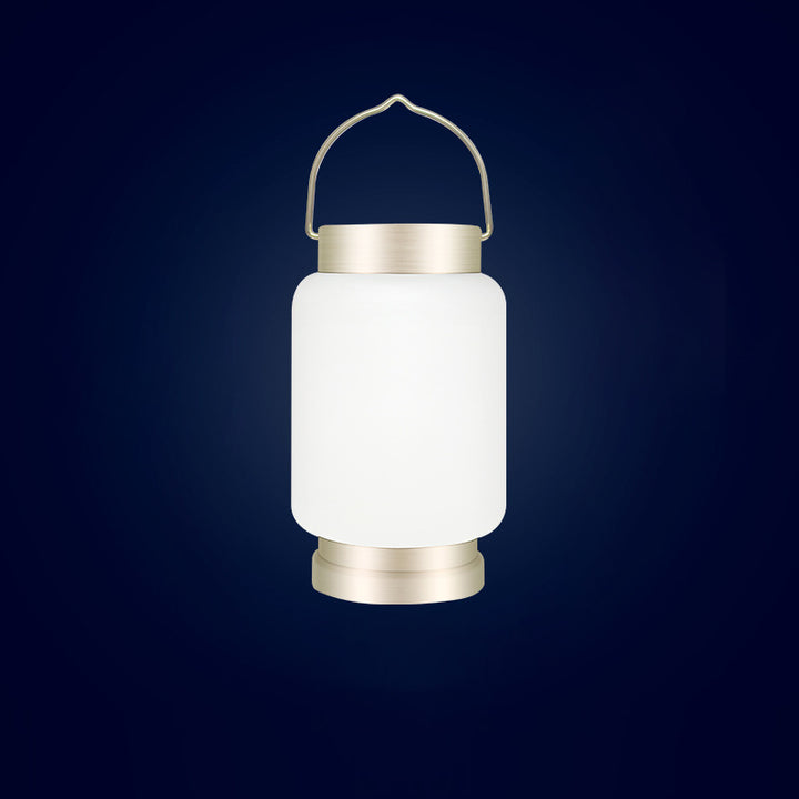 Modern Simplicity Solar Waterproof Portable Cylinder Metal PE LED Outdoor Light For Garden