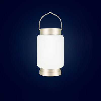 ضوء خارجي LED معدني أسطواني محمول مقاوم للماء يعمل بالطاقة الشمسية بتصميم بسيط وحديث للحديقة 