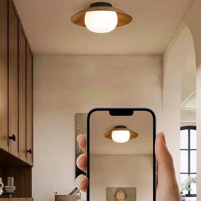 Contemporary Retro Round Bowl Dome Iron PE LED Semi-Flush Mount Ceiling Light for Living Room