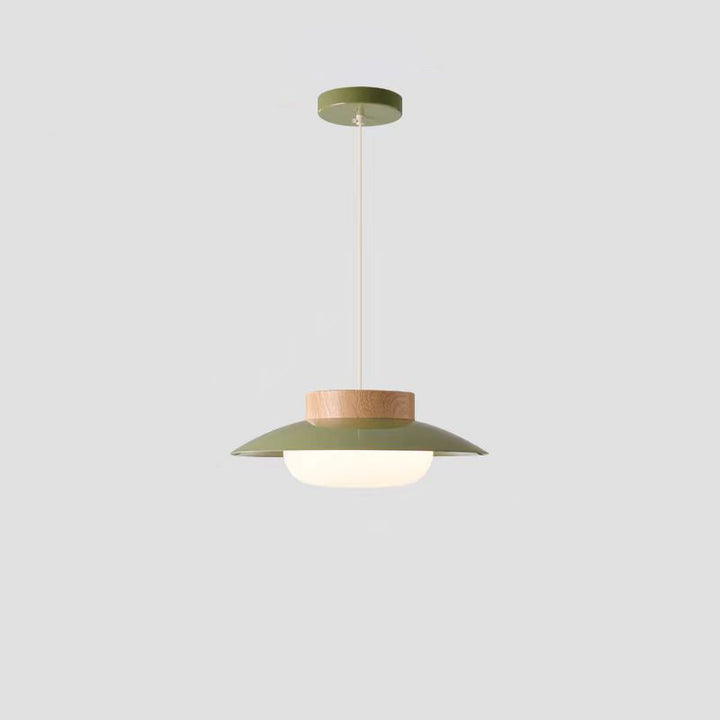 Moderne minimalistische runde ovale Eisen-Acryl-LED-Pendelleuchte für das Wohnzimmer 