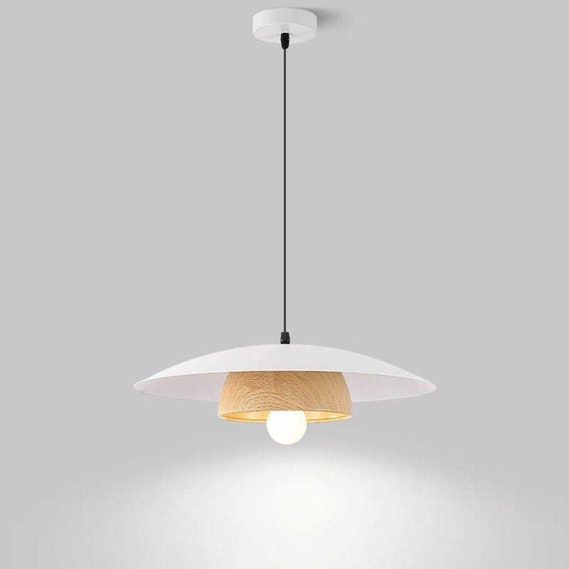 Zeitgenössische nordische runde Schalenform Eisen 1-Licht Pendelleuchte für Wohnzimmer 