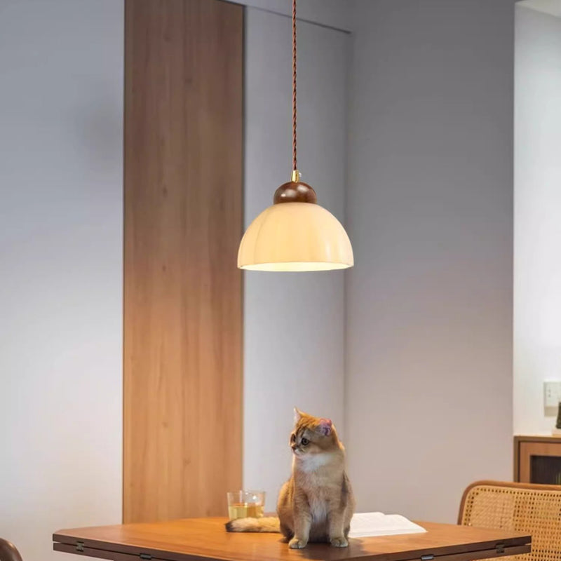 Zeitgenössische Retro Runde Blütenblatt Blumenform Holz Glas 1-Licht Pendelleuchte Für Wohnzimmer 