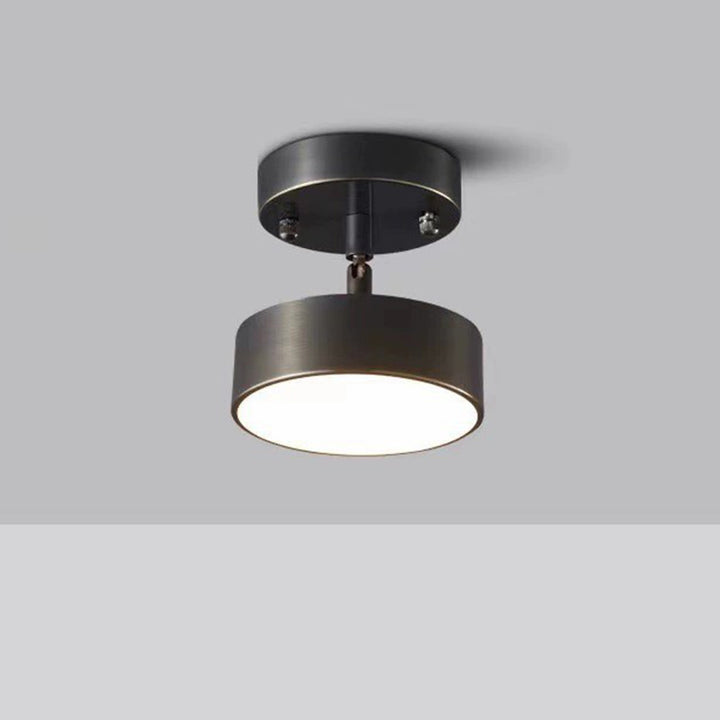 Moderne Luxus einstellbarer Winkel runde Kupfer Acryl LED Deckenleuchte für das Wohnzimmer 