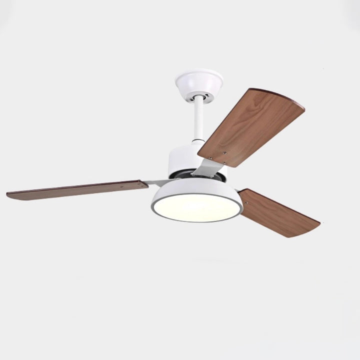 Ventilateur de plafond moderne minimaliste à pales rondes en bois massif avec abat-jour en fer et acrylique LED pour salon 