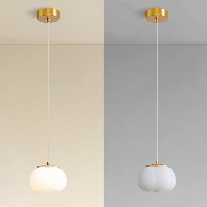 Moderner minimalistischer runder Eisen-Acryl 1-Licht-Pendelleuchte für Wohnzimmer 