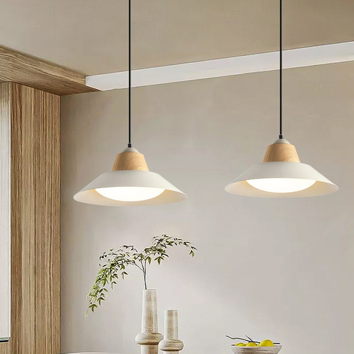 Suspension Luminaire Contemporain Nordique Rond en Fer à 1 Lumière pour Salon 