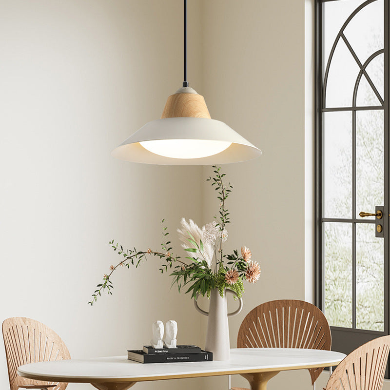 Suspension Luminaire Contemporain Nordique Rond en Fer à 1 Lumière pour Salon 