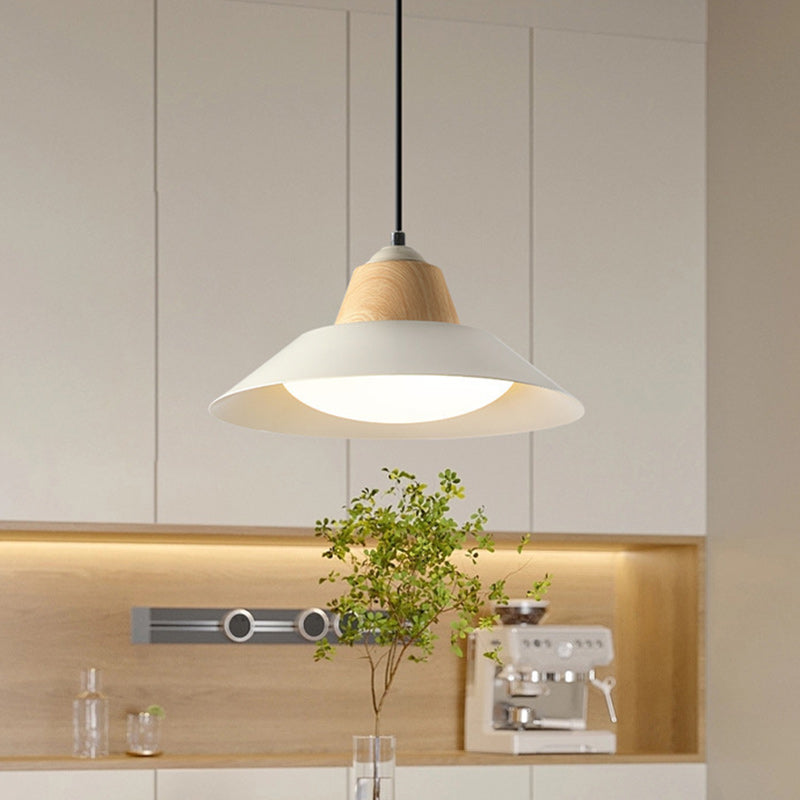 Suspension Luminaire Contemporain Nordique Rond en Fer à 1 Lumière pour Salon 