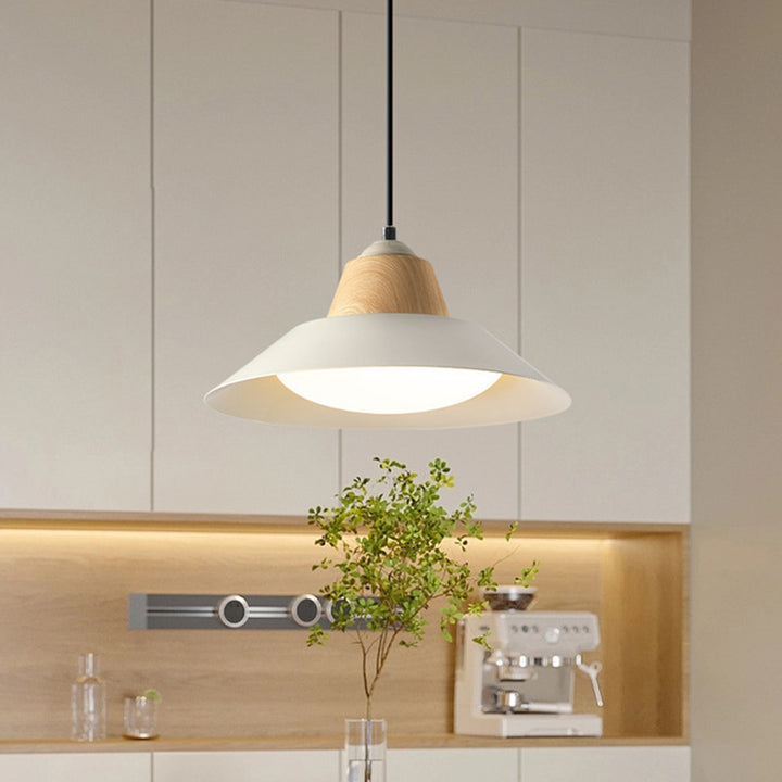 Suspension Luminaire Contemporain Nordique Rond en Fer à 1 Lumière pour Salon 