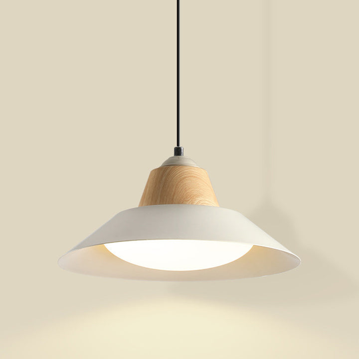 Suspension Luminaire Contemporain Nordique Rond en Fer à 1 Lumière pour Salon 