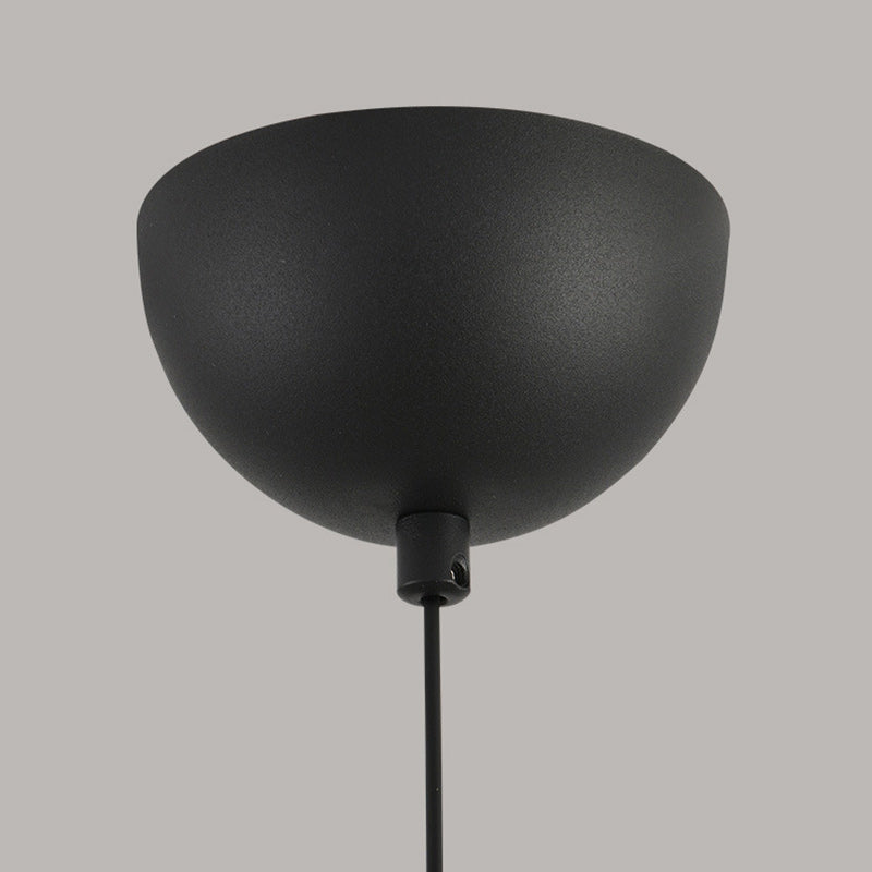 Modern Minimalist Oval Iron Glass Acrylic LED Pendant Light For Living Room