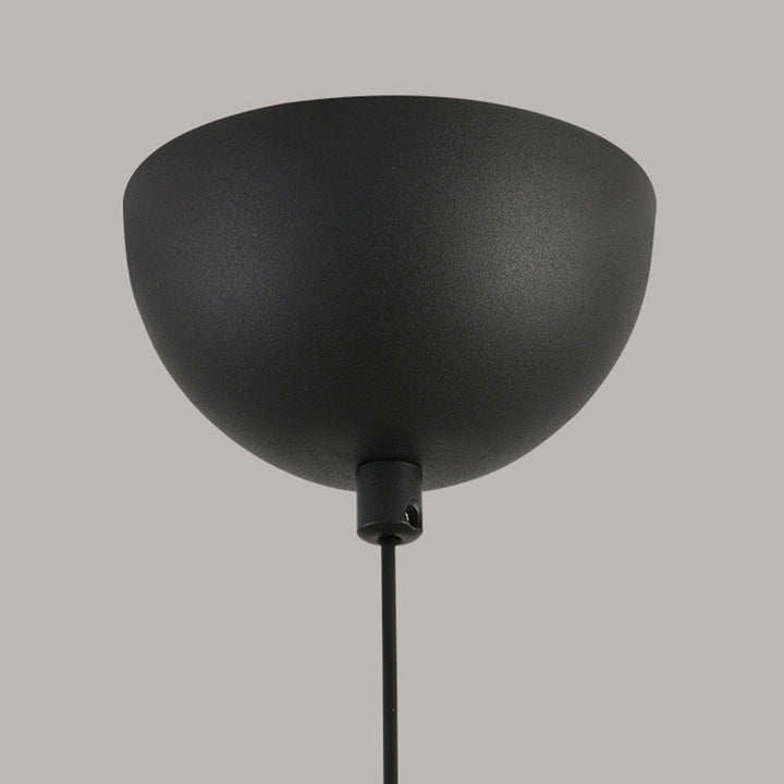 Modern Minimalist Oval Iron Glass Acrylic LED Pendant Light For Living Room