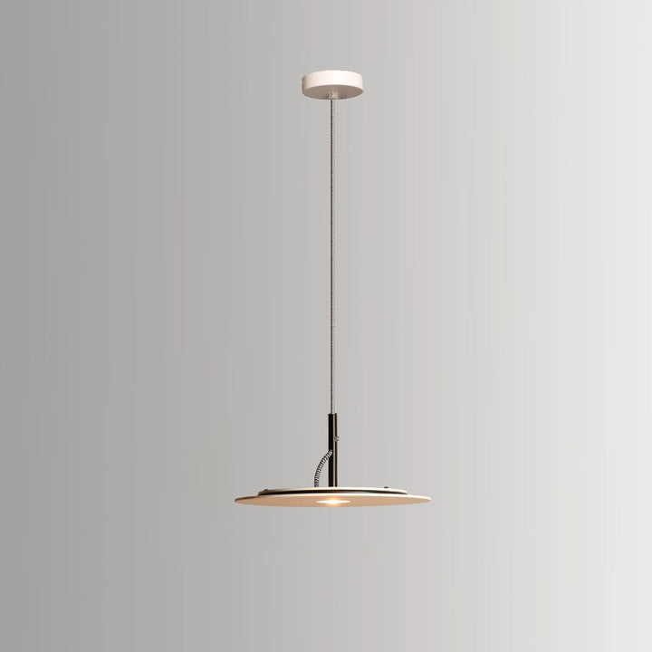 Lustre LED Rond en Fer Minimaliste Moderne pour Salon 